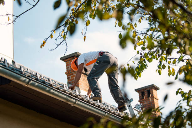 Best New Roof Installation  in Springfield, OR