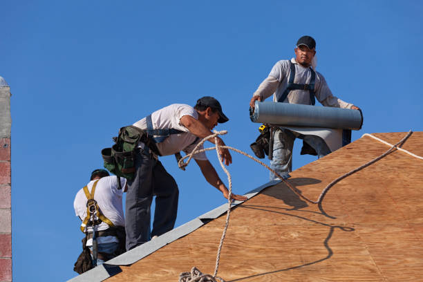 Best Metal Roofing Contractor  in Springfield, OR