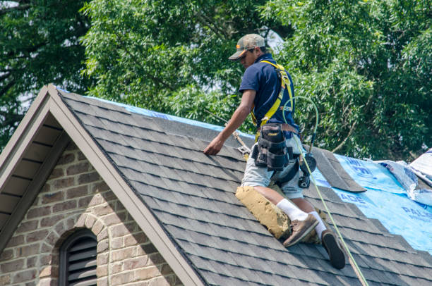 Best Roof Leak Repair  in Springfield, OR
